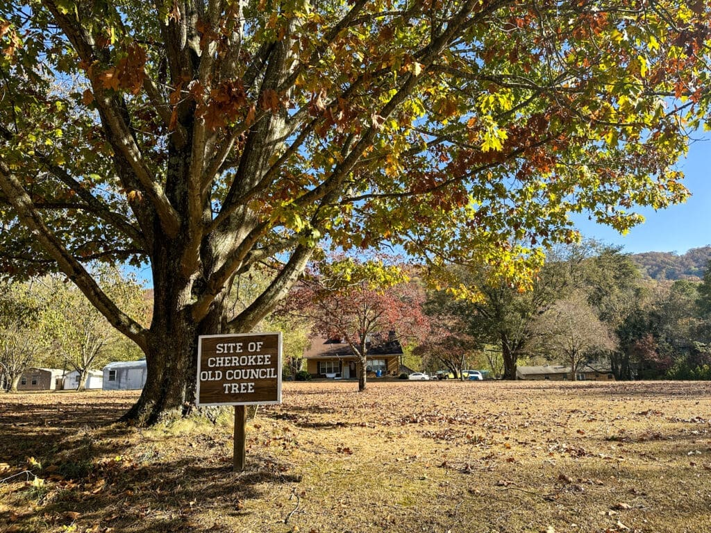 A sign reading "Site of Cherokee Old Council Tree" sits under a tree with autumn colors. Houses in the far background indicate that this is now a residential area.
