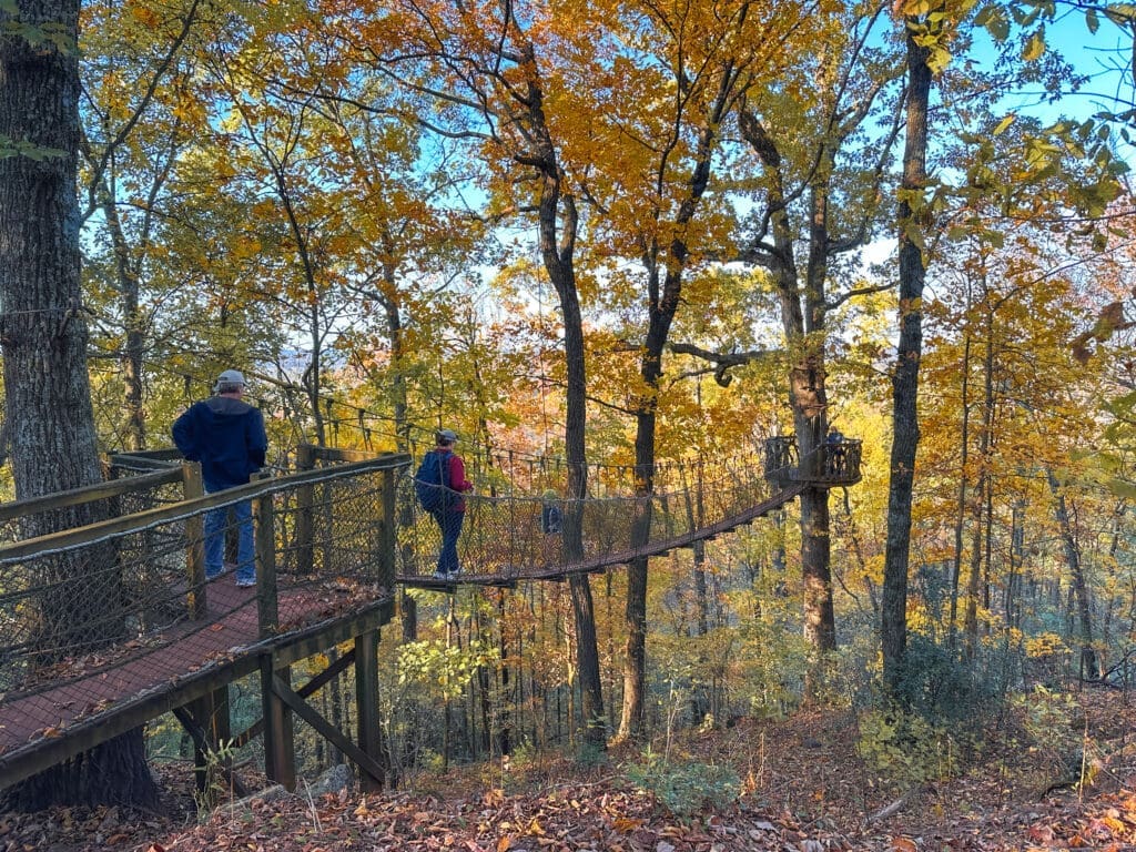 A couple of people walking on a long swinging bridge to a small treehouse built about 40 feet off the ground. Leaves show fall colors.